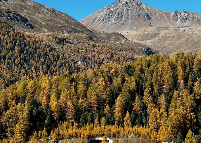 Chesa Muschna * Silvaplana