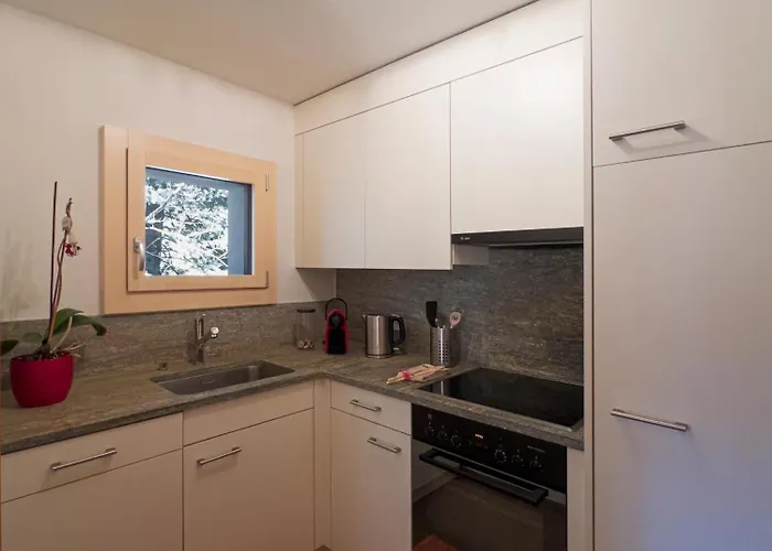 Apartament Chesa Muschna *