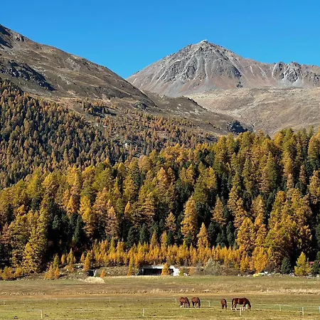 Chesa Muschna * سيلفابلانا